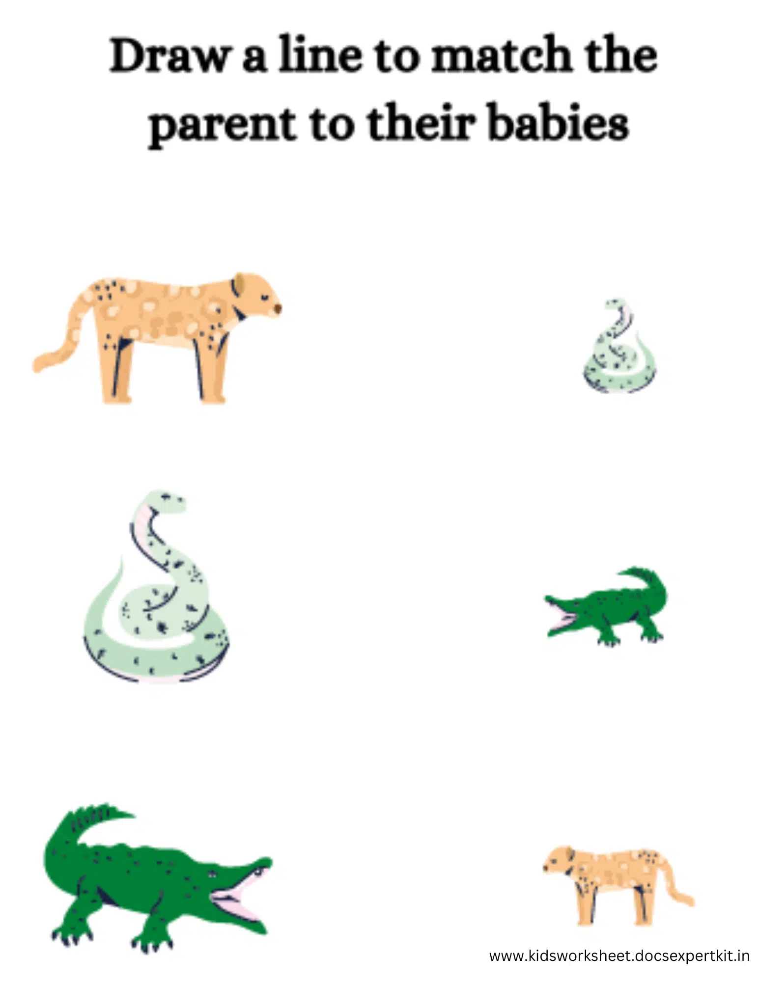 Match the reptile to its baby worksheet